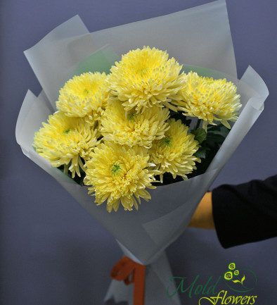 Bouquet of Yellow Ball-shaped Chrysanthemums photo 394x433